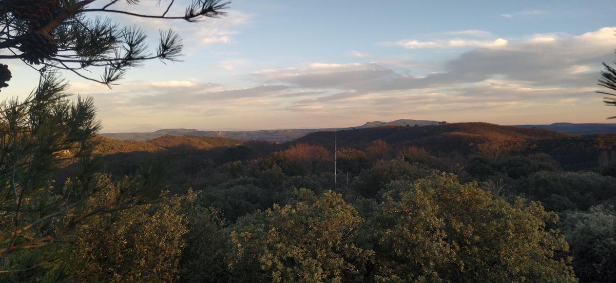 Primary Image for F4LGD