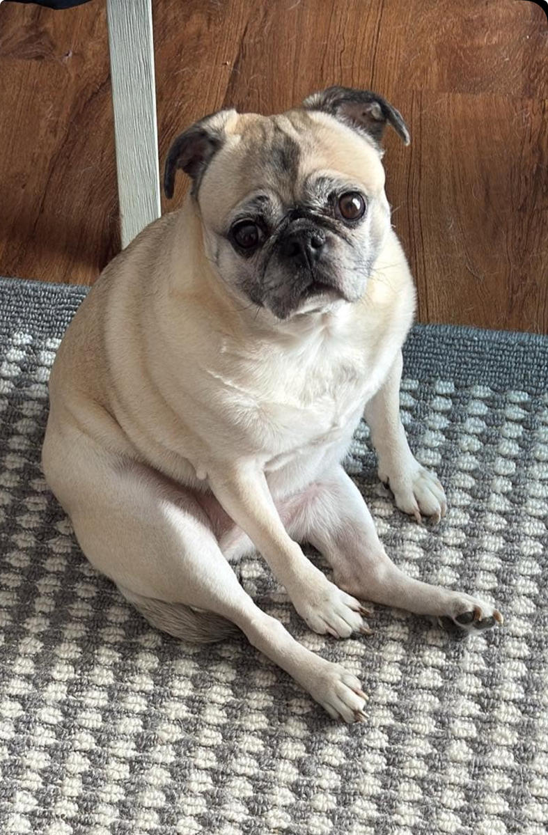 Primary Image for K2KFD