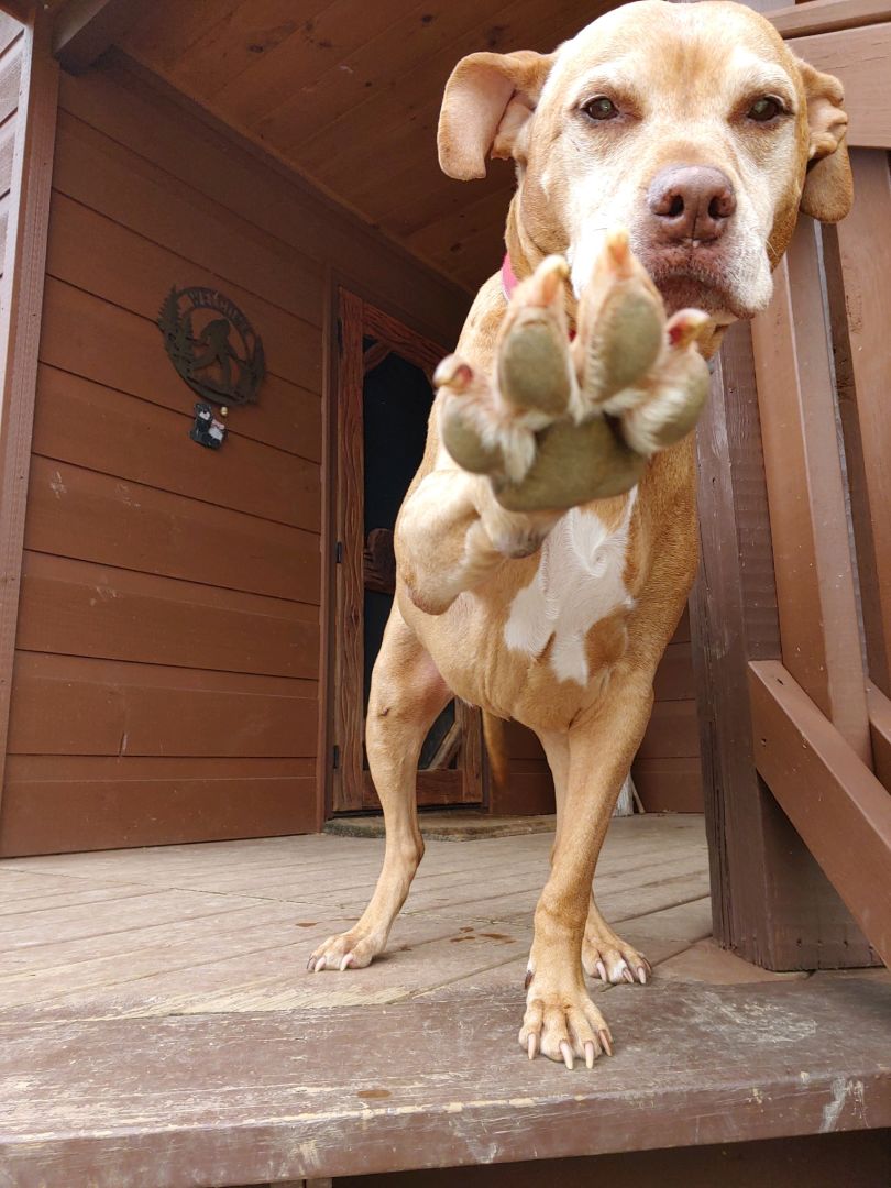 Primary Image for KO4HJD