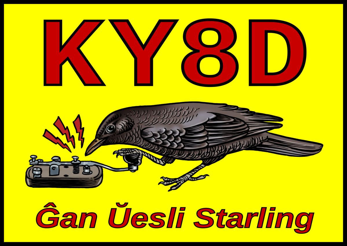Primary Image for KY8D