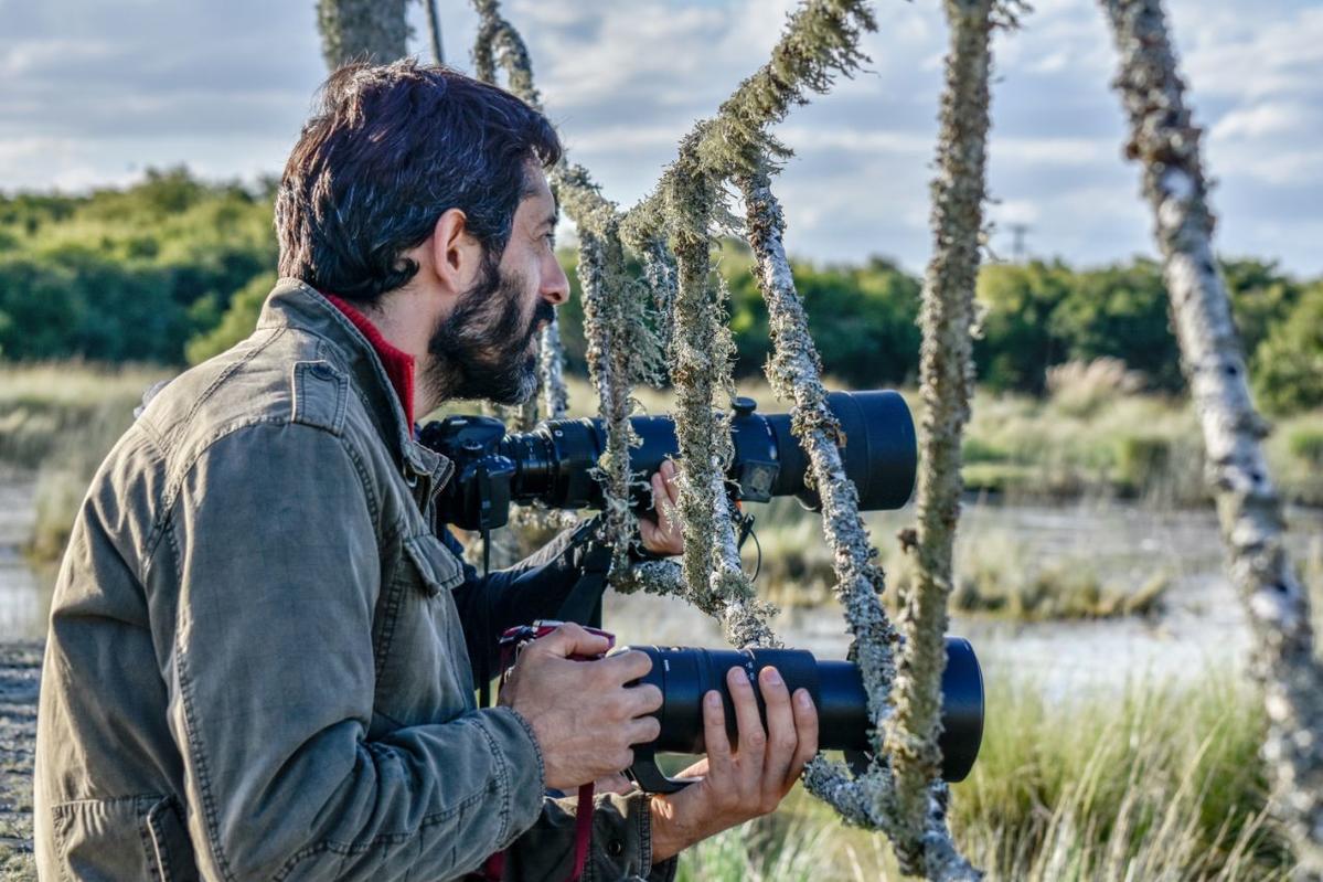 Primary Image for LW2DHD