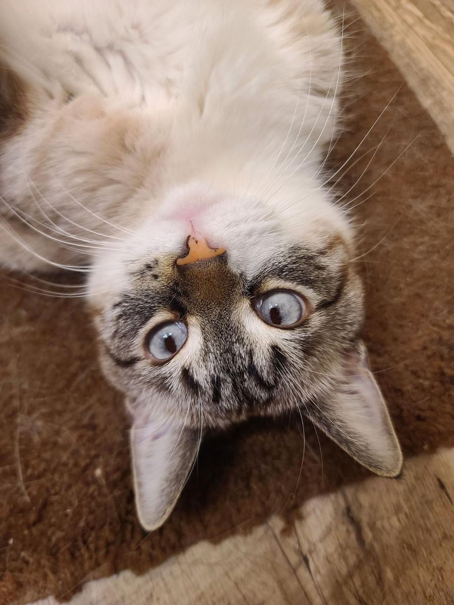 Primary Image for N9WVD