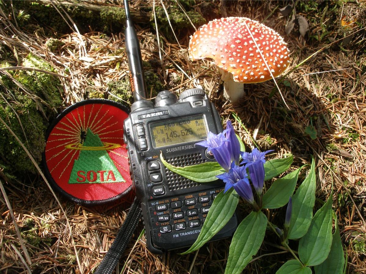 Oe6bid Callsign Lookup By Qrz Ham Radio