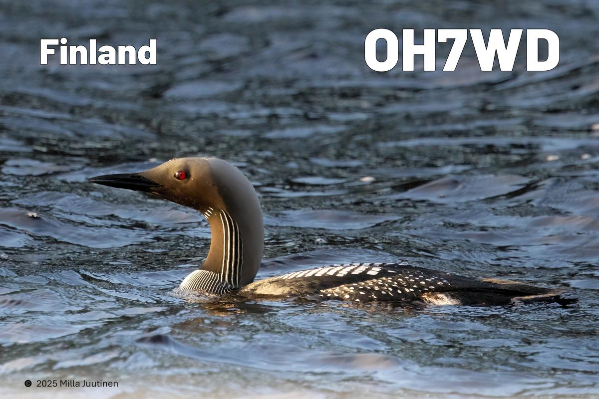 Primary Image for OH7WD