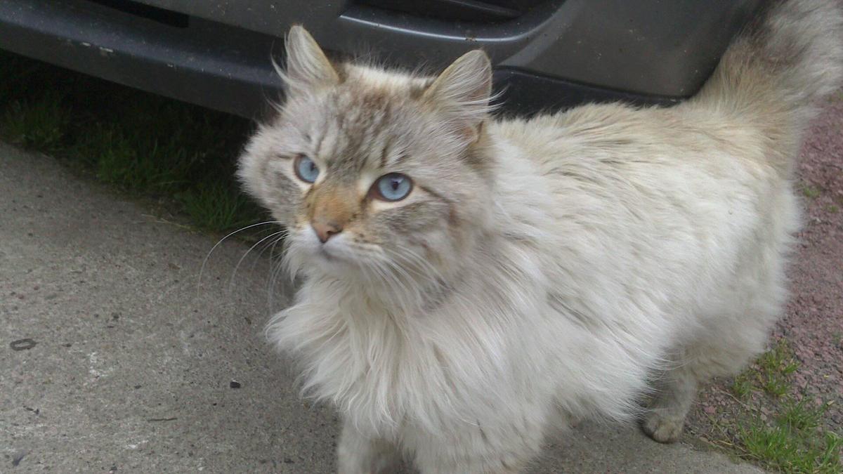 Primary Image for SQ6AMD