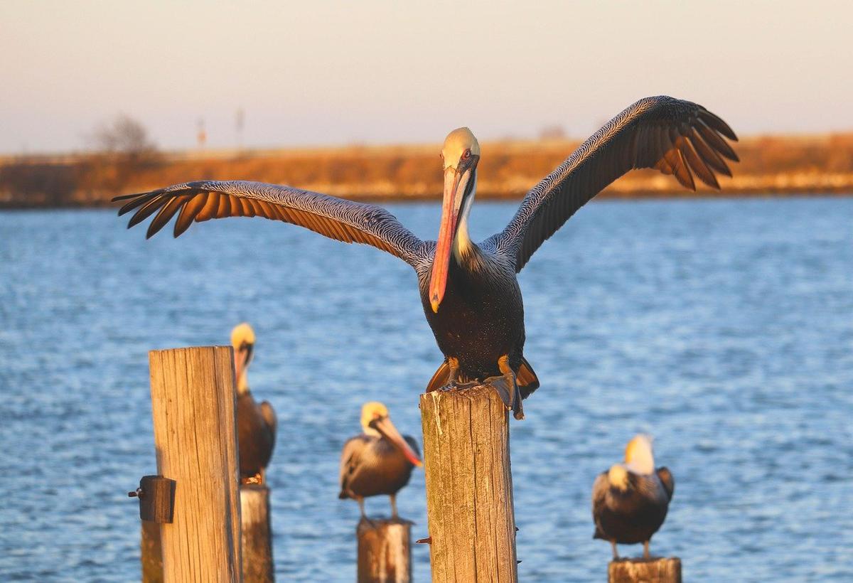 Primary Image for WA4GUD