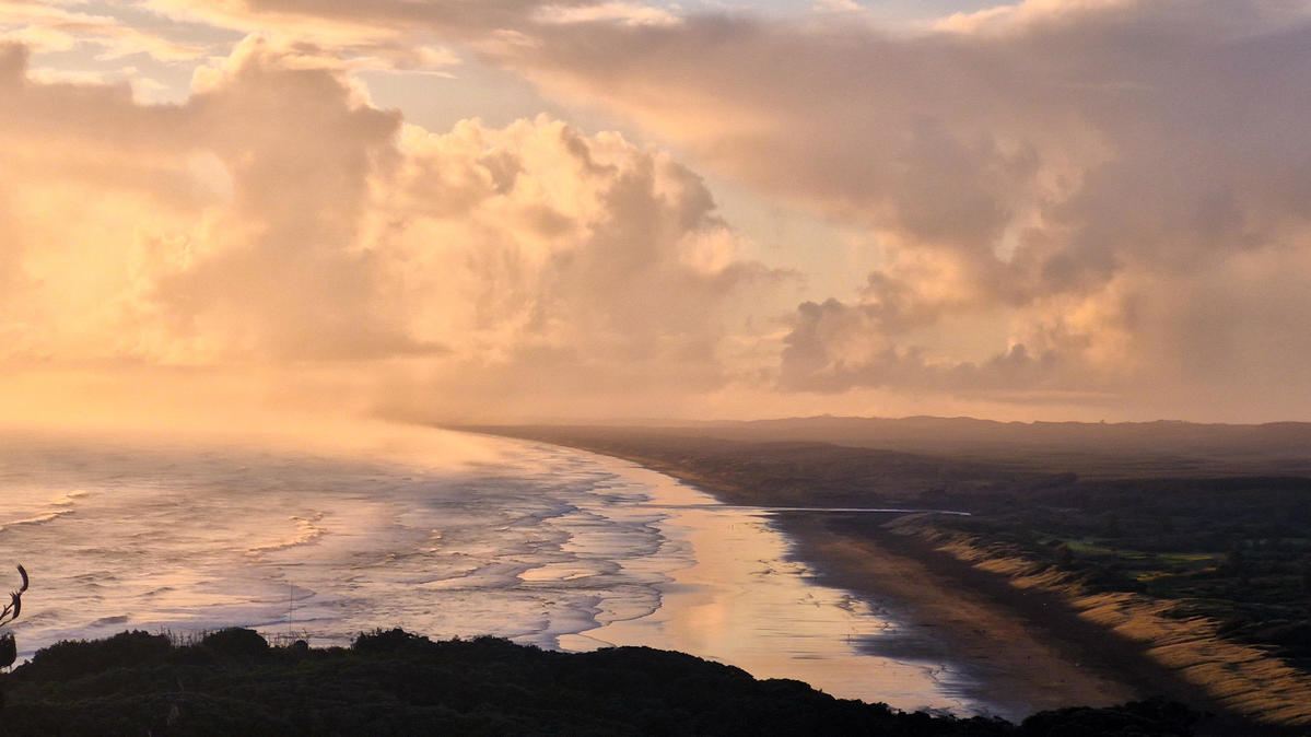 Primary Image for ZL1LD