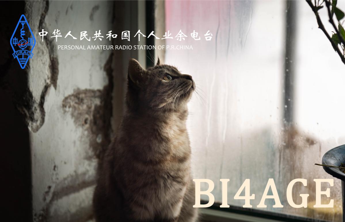 Primary Image for BI4AGE