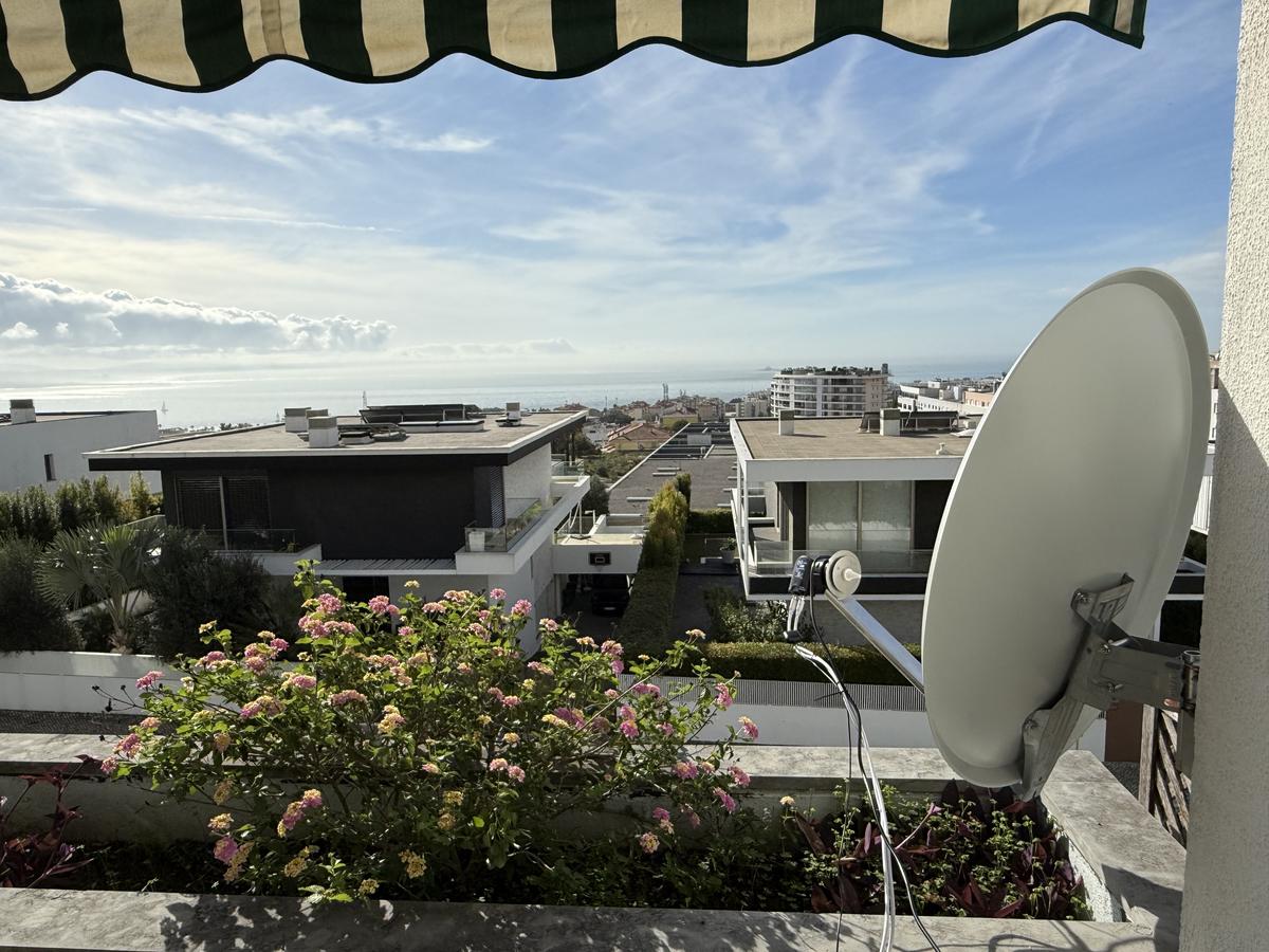 Primary Image for CT1DYE