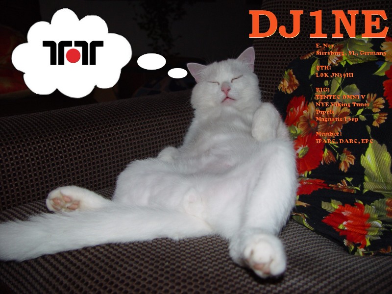 Primary Image for DJ1NE