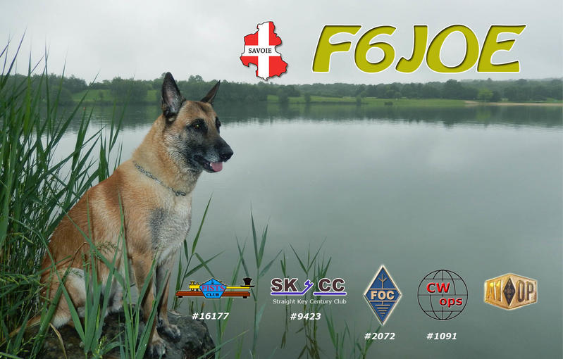 Primary Image for F6JOE