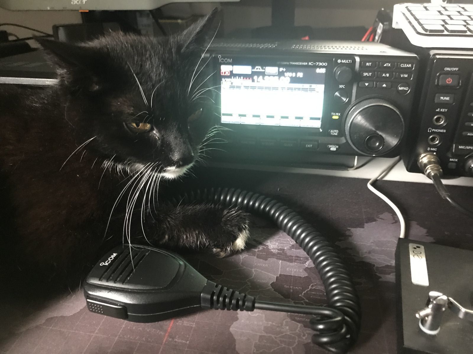 Primary Image for HB9FUE