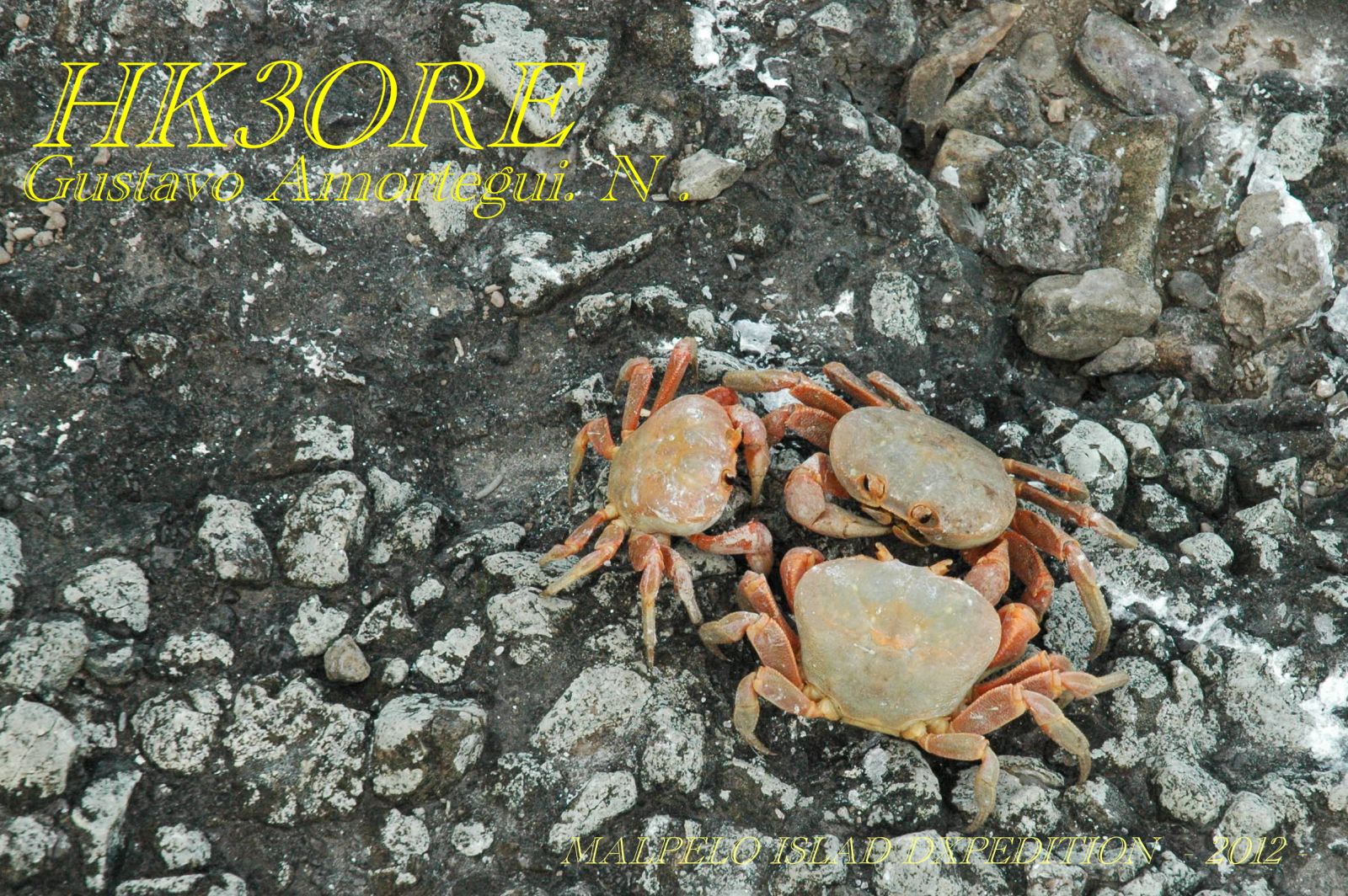 Primary Image for HK3ORE