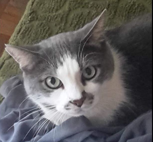 Primary Image for IP4E