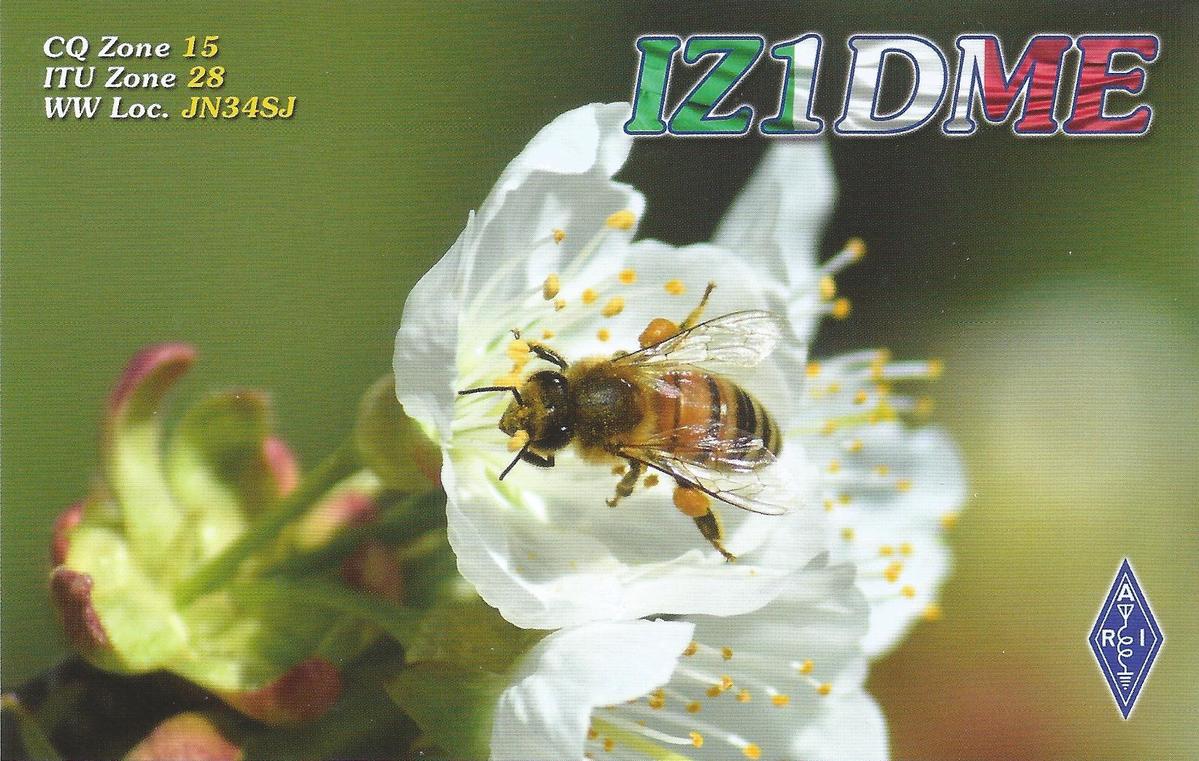 Primary Image for IZ1DME