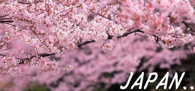 Primary Image for JN2OWE