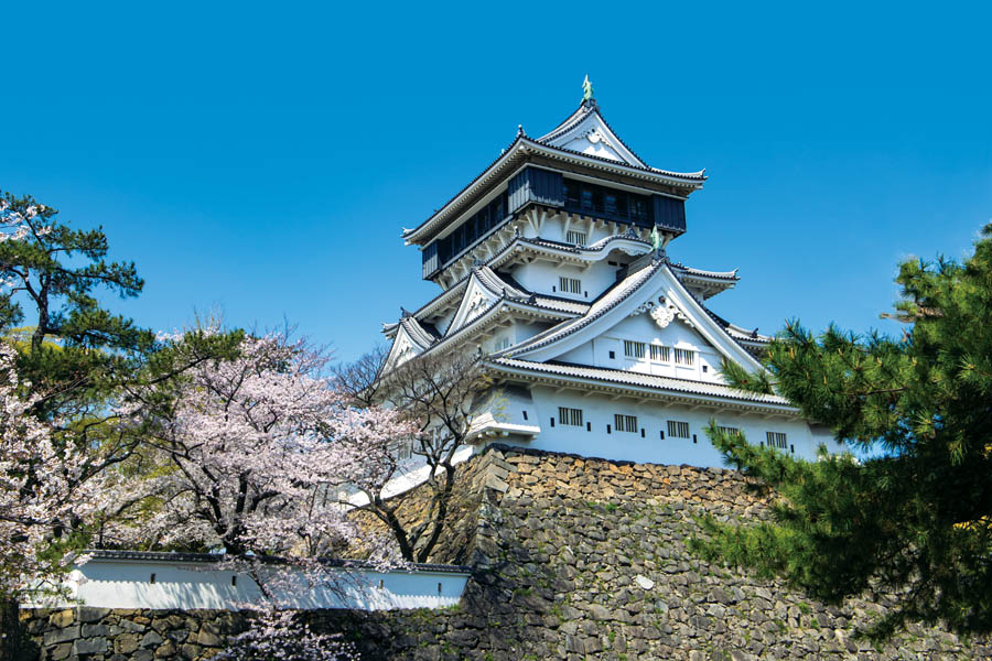 Primary Image for JR6OCE