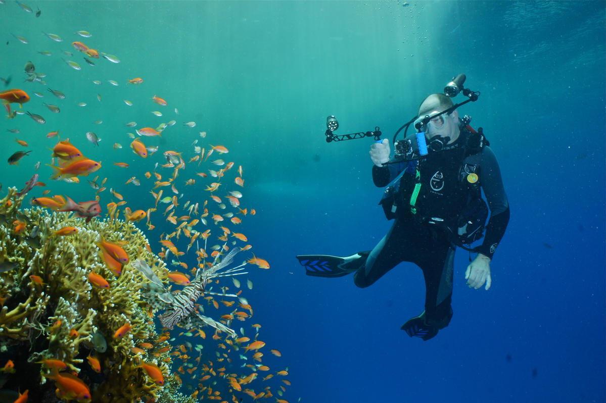 Primary Image for KA9JDE