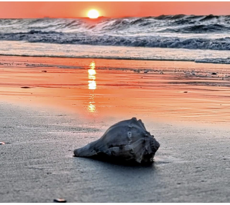 Primary Image for KG4E