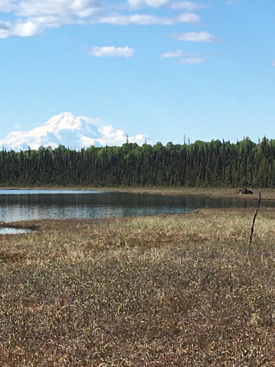 Primary Image for KL7DE