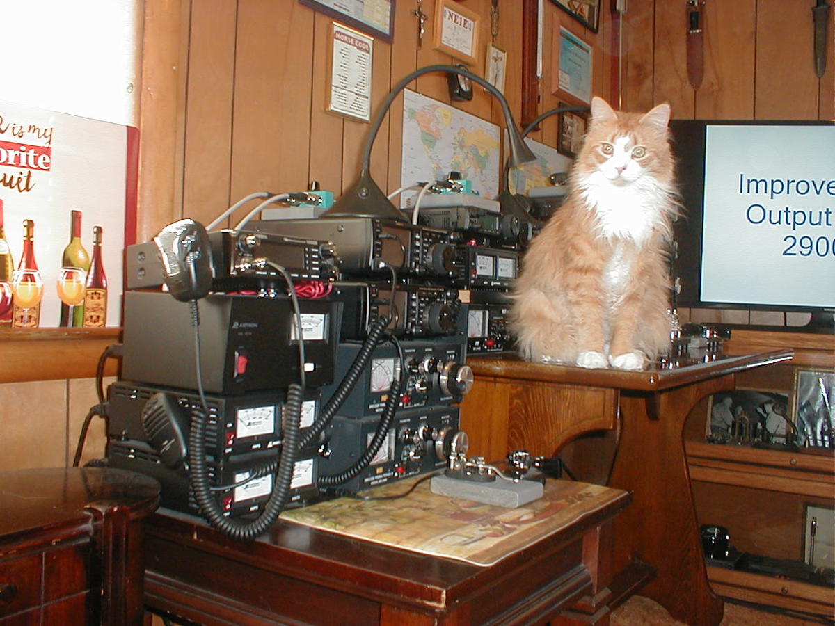 Primary Image for NE1E