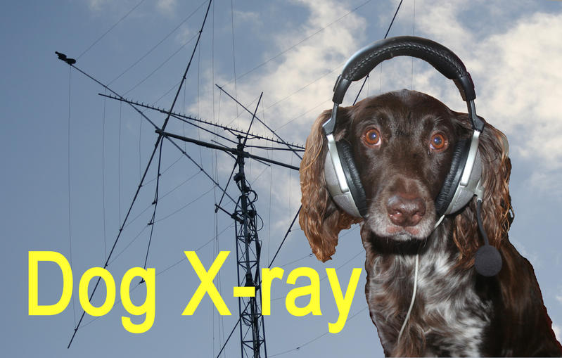 Primary Image for PA1PE