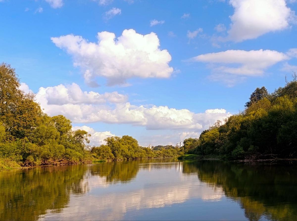 Primary Image for R3BEE