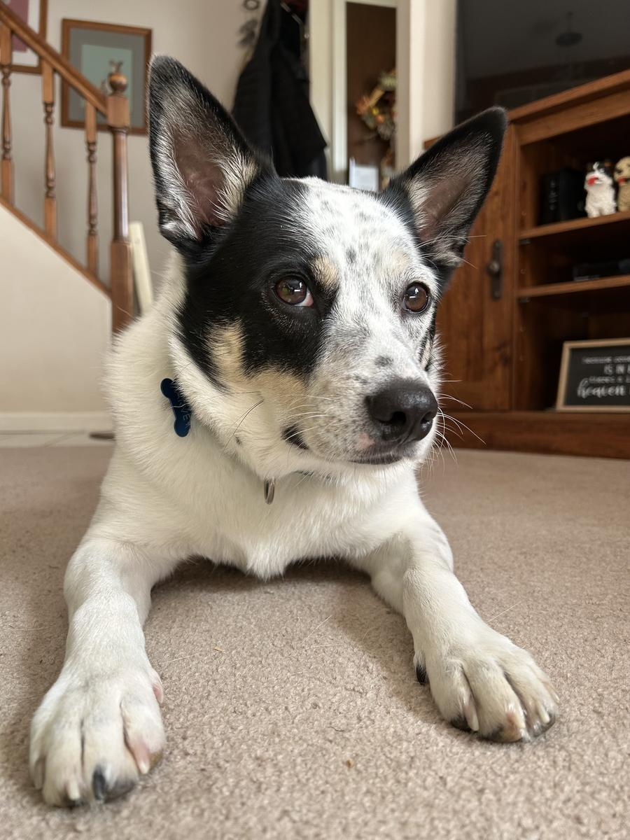 Primary Image for WB2FUE