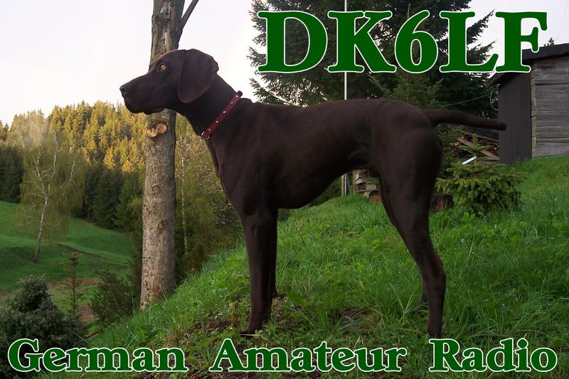 Primary Image for DK6LF