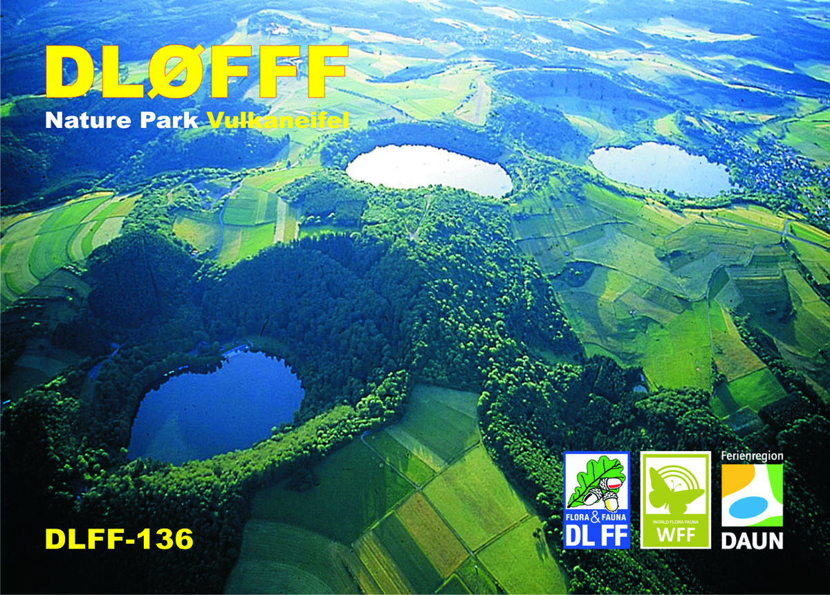 Primary Image for DL0FFF