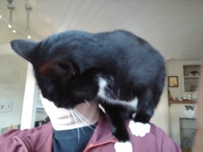 Primary Image for G1YFF