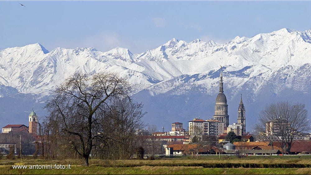 Primary Image for IU1TKF