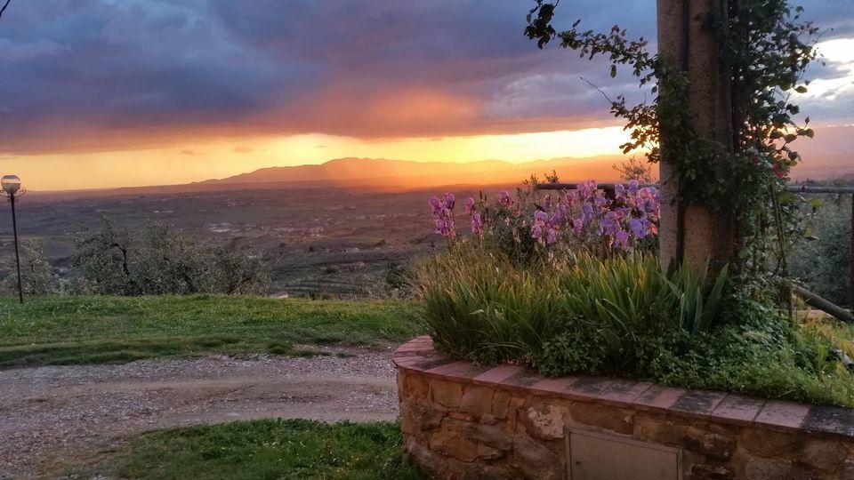 Primary Image for IZ5GSF