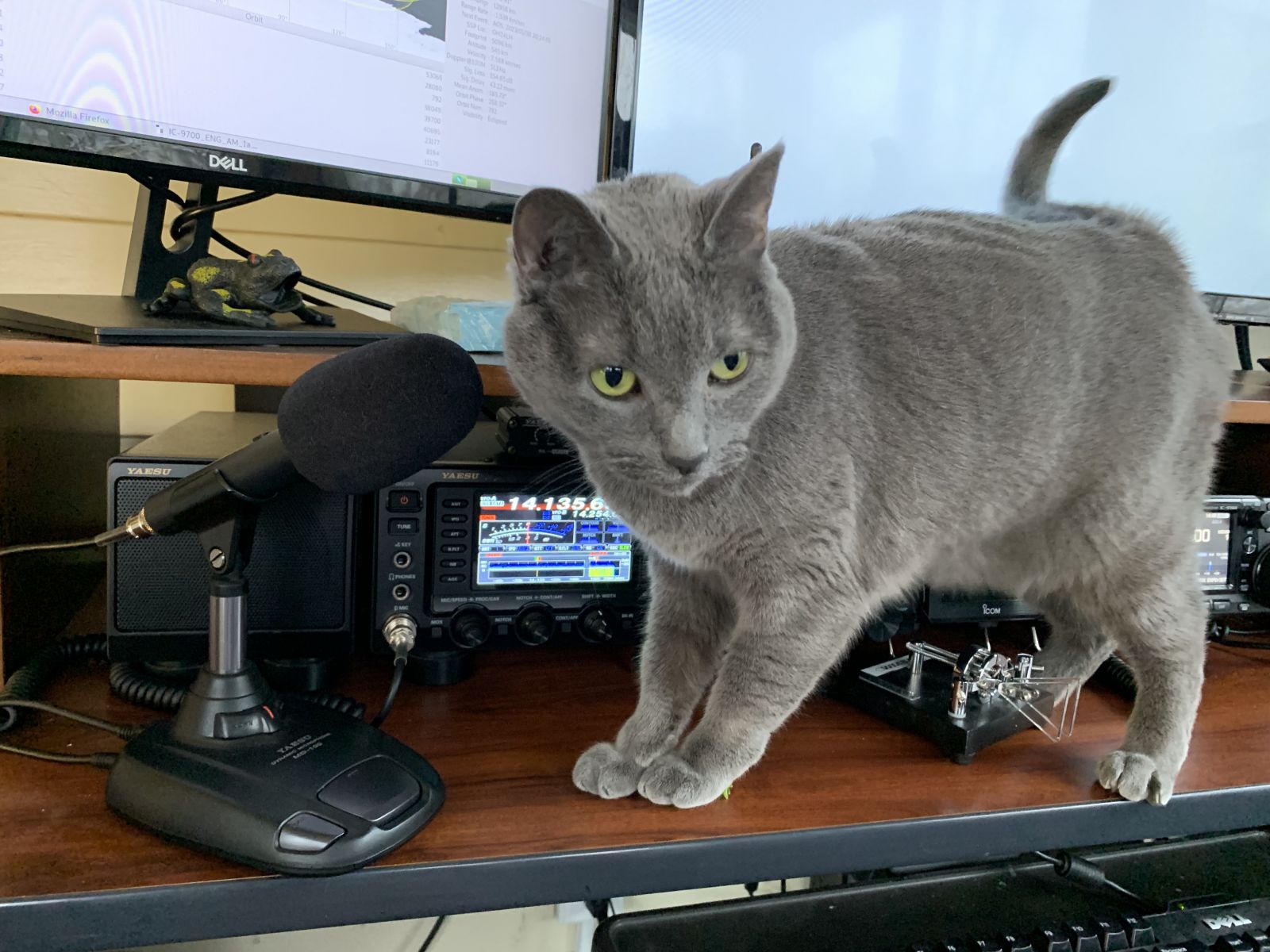 Primary Image for K8OOF