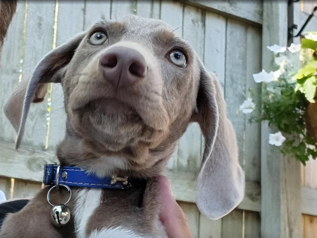 Primary Image for KB8WNF