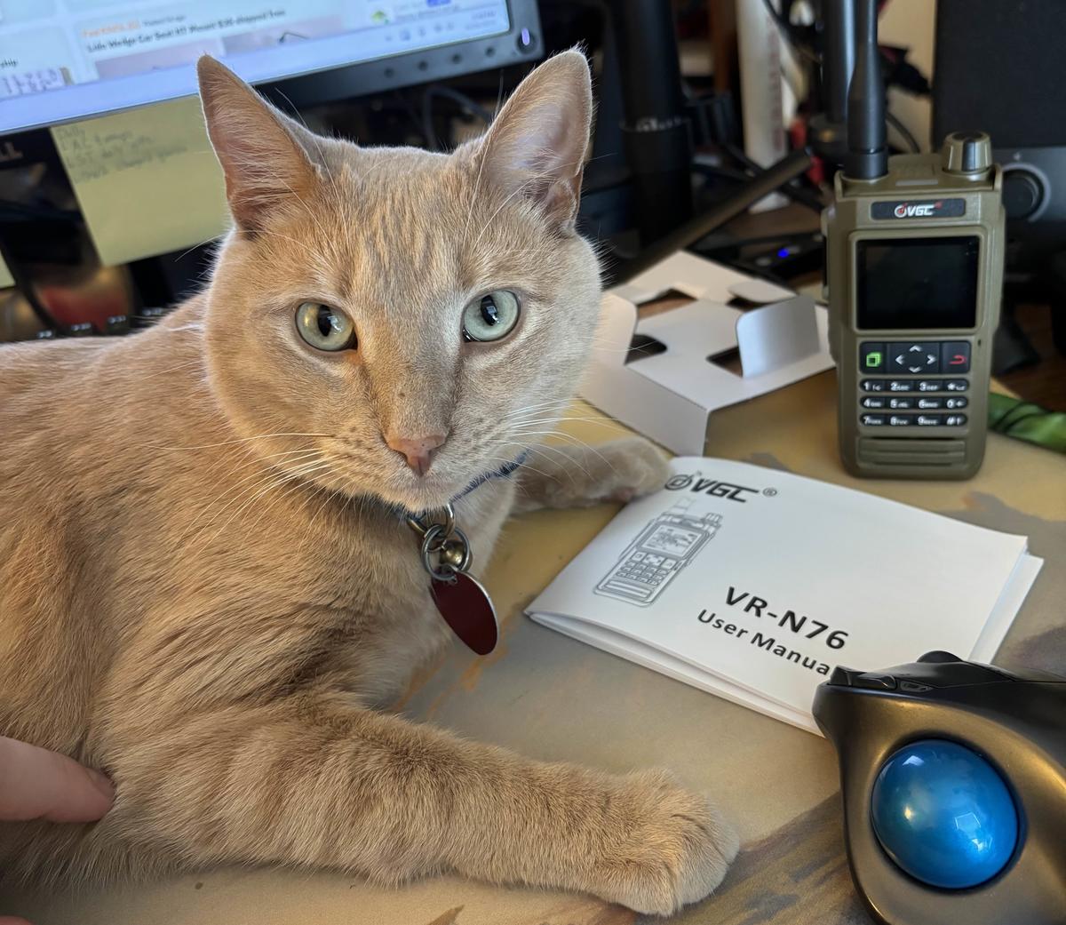 Primary Image for KR4FNF