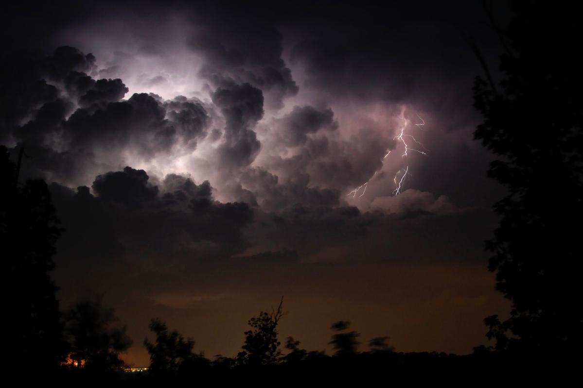 Primary Image for NG3F