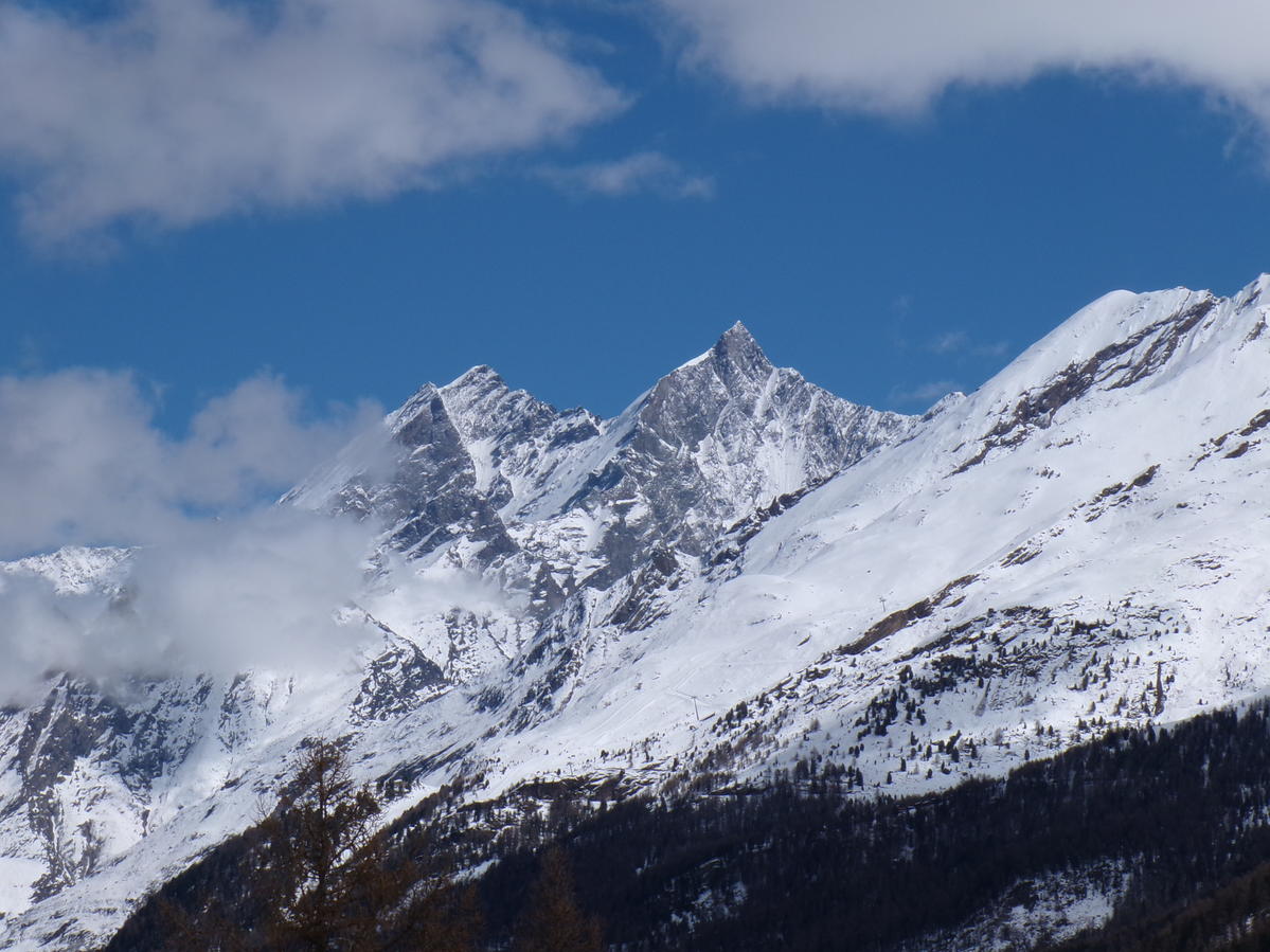 Primary Image for OE6HLF