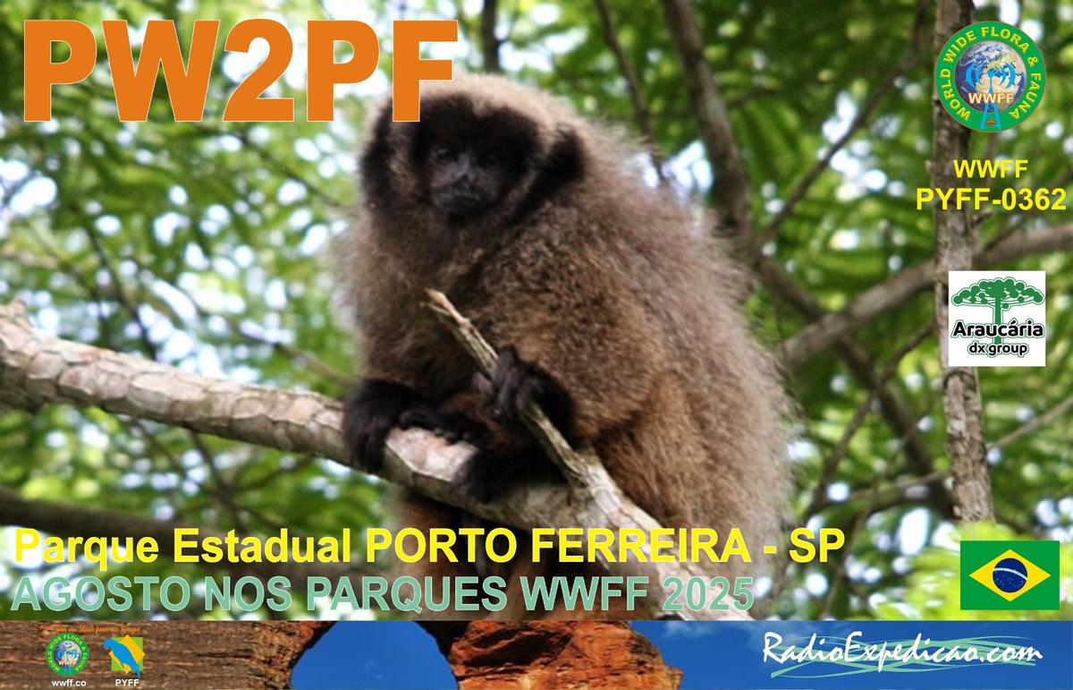 Primary Image for PW2PF