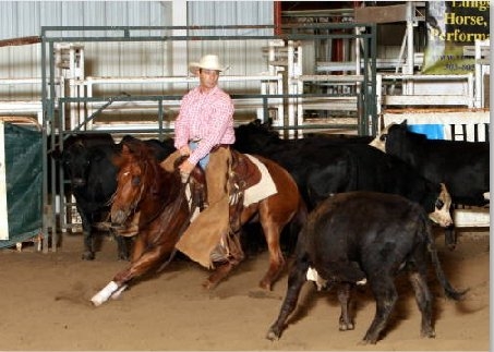 Primary Image for W0LRF