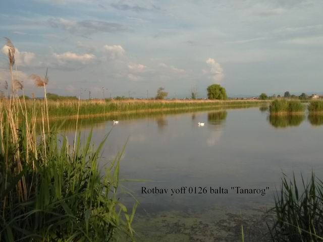 Primary Image for YO6FNF