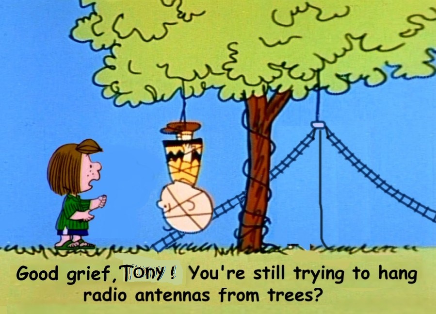 Primary Image for AA4TG