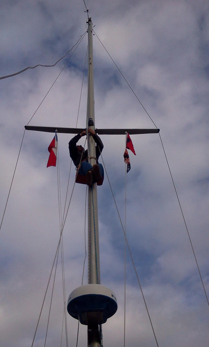 Primary Image for CD3ANG