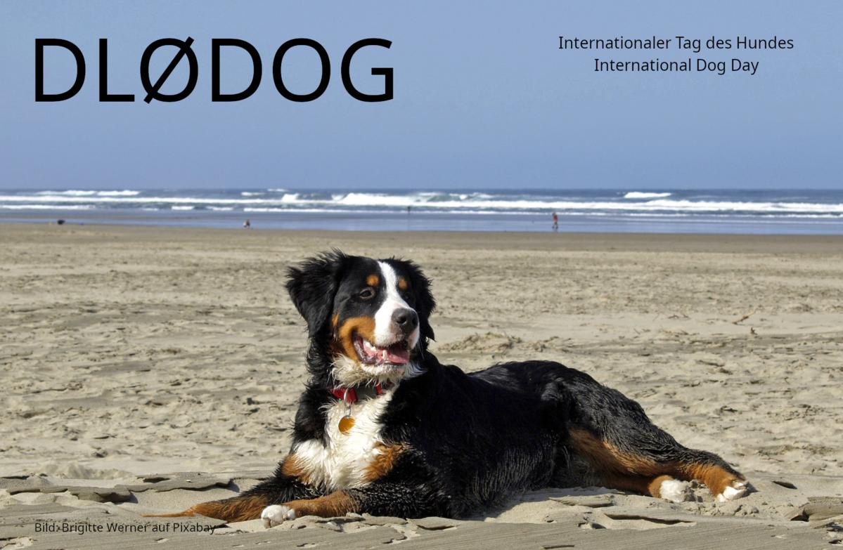 Primary Image for DL0DOG