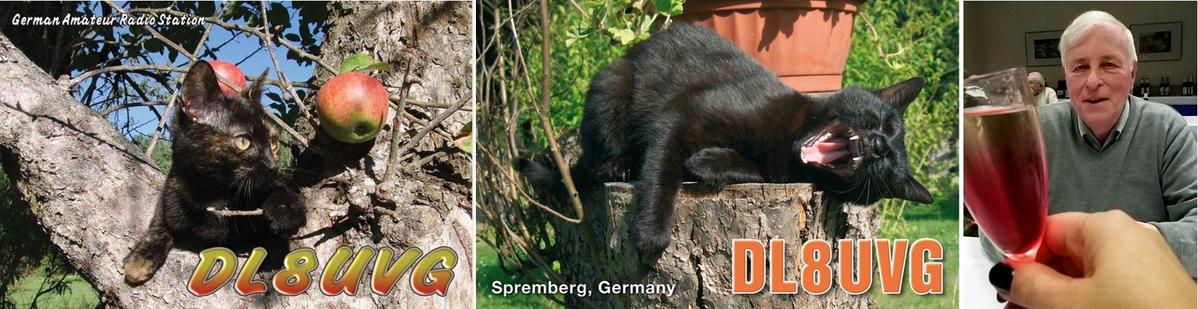 Primary Image for DL8UVG