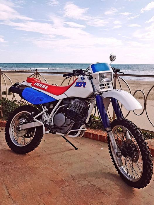 Primary Image for IK4ZIG