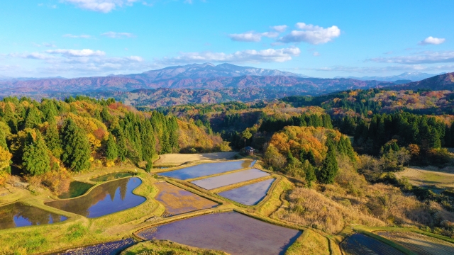 Primary Image for JH0FOG