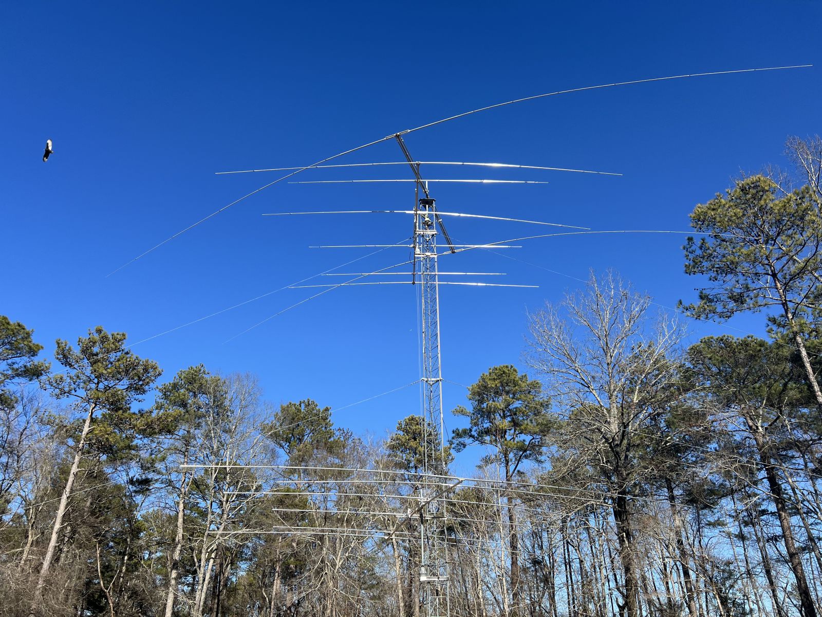 GHD社　電鍵　CQ ham radio orignal Vega Ham Radio Basics--W6LG Calls CQ DX and a Very Good Friend