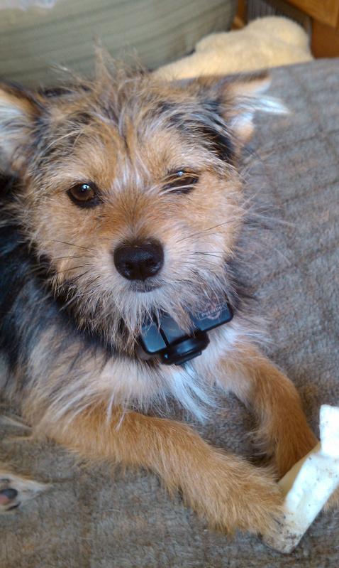 Primary Image for KF2JG