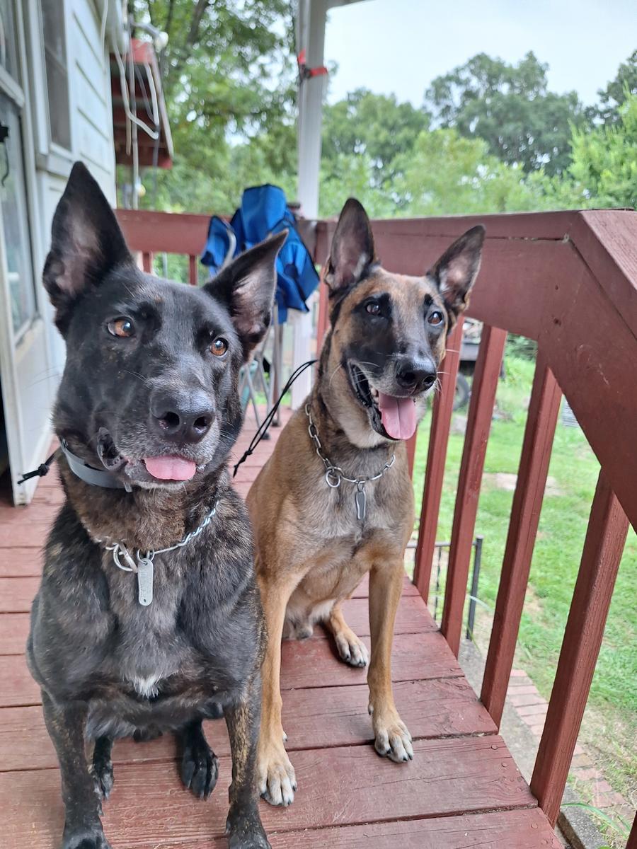 Primary Image for KR4AEG